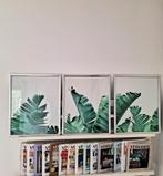 3 poster schilderij botanisch bananenplant met lijst zilver, Huis en Inrichting, Ophalen of Verzenden, Minder dan 50 cm, Schilderij