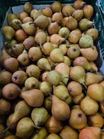 Verse stoofperen Gieser Wildeman stoofpeertjes klasse 1., Ophalen of Verzenden, Minder dan 100 cm, Overige soorten