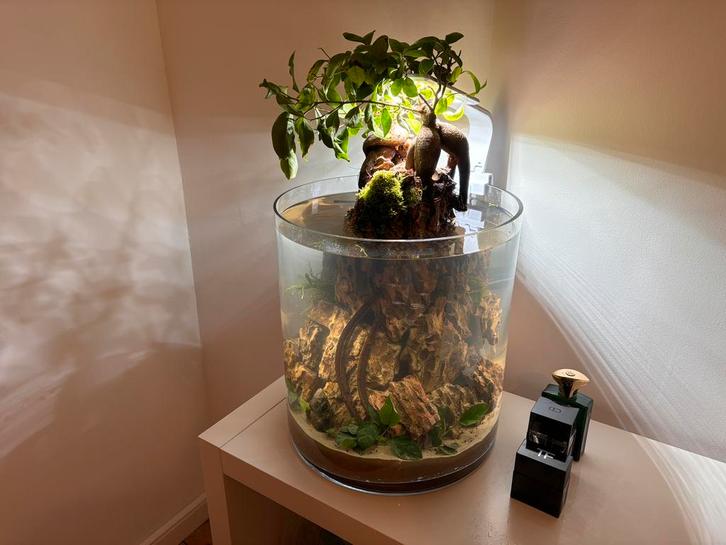 Aquarium inclusief vissen en toebehoren, Dieren en Toebehoren, Vissen | Aquaria en Toebehoren, Zo goed als nieuw, Gevuld zoetwateraquarium