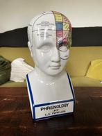 Frenologie studie hoofd buste fowler phrenology, Ophalen of Verzenden, Zo goed als nieuw, Mens