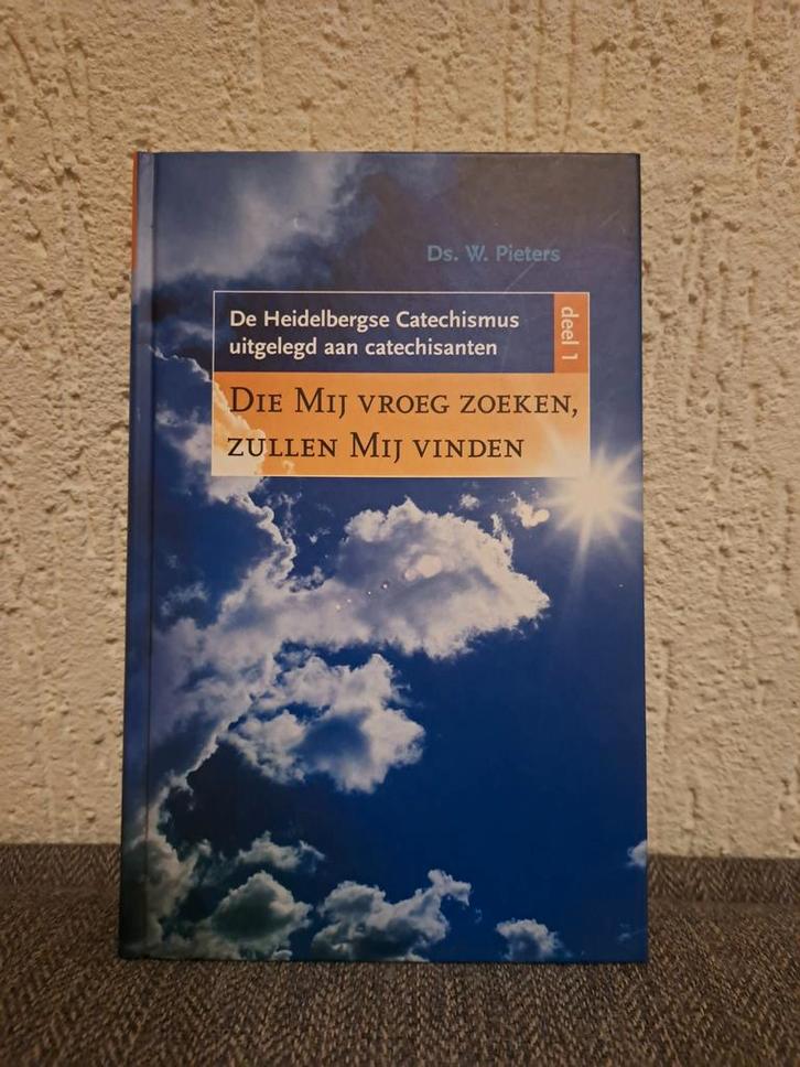 Heidelbergse Catechismus - Ds. W. Pieters, Boeken, Godsdienst en Theologie, Zo goed als nieuw, Christendom | Protestants, Ophalen of Verzenden