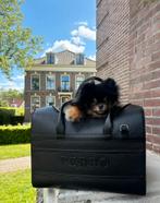 Perro Collection reistas zwart, Dieren en Toebehoren, Ophalen of Verzenden