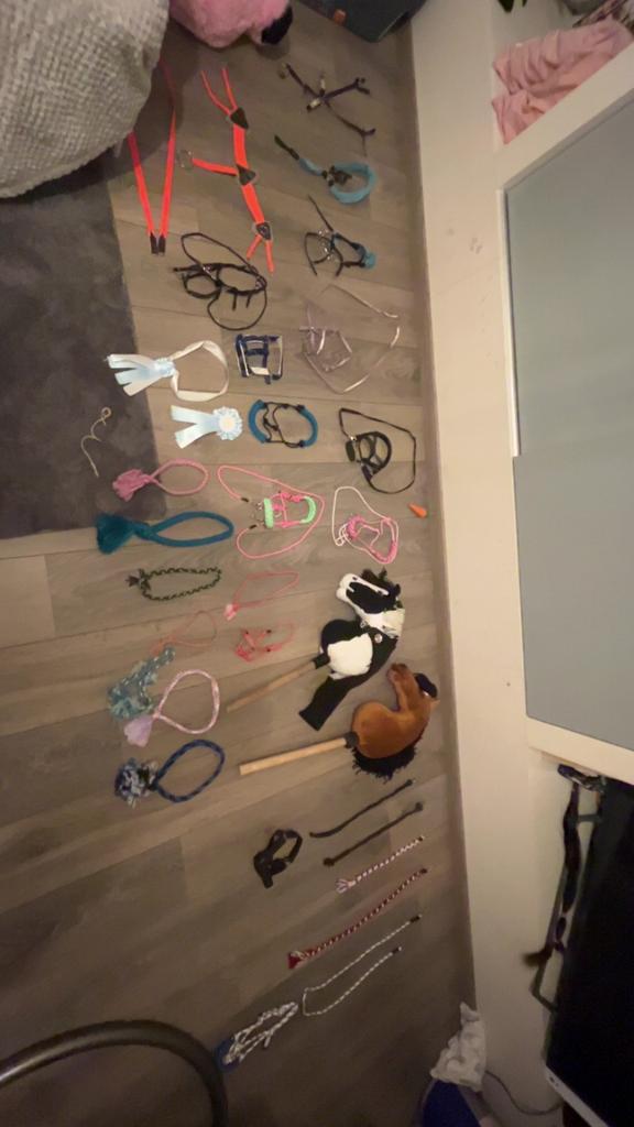 Partij hobbyhorse spullen, Ophalen of Verzenden, Zo goed als nieuw