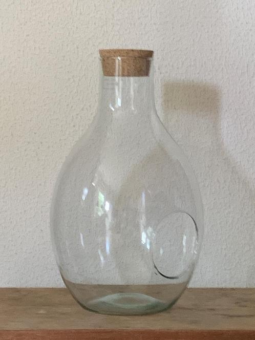 The Green Bottle Garden terrarium, stolp, Huis en Inrichting, Woonaccessoires | Stolpen, Zo goed als nieuw, Ophalen of Verzenden