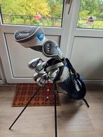 SKYMAX IX5 ICE golf starterset, Ophalen, Zo goed als nieuw, Club, Overige merken