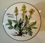 potje met deksel van Villeroy & Boch uit de Botanica-serie, Antiek en Kunst, Antiek | Servies los, Ophalen of Verzenden