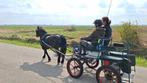 Menwagen shetlander of kleine pony, Zo goed als nieuw, Pony