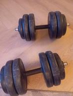 Dumbbells set - 20 kg totaal, Ophalen of Verzenden