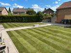 Professionele graszoden leg service aangeboden, Ophalen, Nieuw, 20 m² of meer