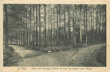 (387-242-047) De Steeg Naar het Onzalige Bosch beschikbaar voor biedingen