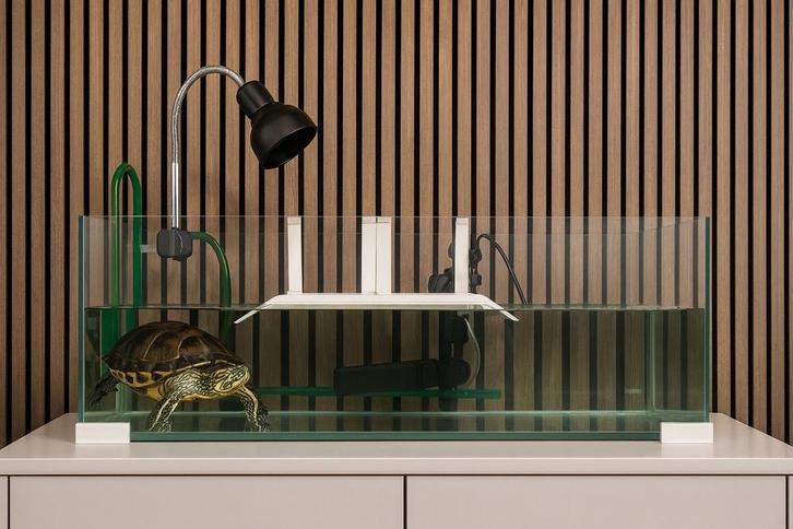 2 schildpadden en alles toebehoren, Dieren en Toebehoren, Reptielen en Amfibieën | Toebehoren, Ophalen