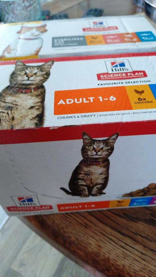 Hill,s natvoer kat, Dieren en Toebehoren, Vermiste en Gevonden Dieren