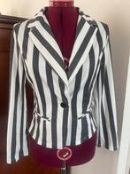 Pescara jasje maat S, Ophalen of Verzenden, Zo goed als nieuw, Maat 38/40 (M), Grijs