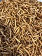 Gedroogde meelwormen 850 g =  5L in hersluitbare emmer, Dieren en Toebehoren, Verzenden, Nieuw, Eten en Drinken