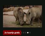 ZOO Antwerpen 2e kaartje GRATIS (AH uitjeszegels) 🦒🐘, Drie personen of meer, Kortingskaart