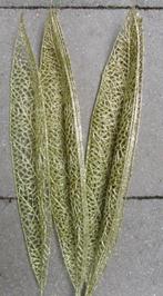 OPRUIMING GLITTERBLAD - KUNST - GOUD & ZILVER 1,00 NU 0,50, Ophalen of Verzenden, Nieuw