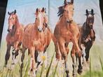 dekbedovertrek paardenkudde, Gebruikt, Overige kleuren, Meisje, Dekbedovertrek