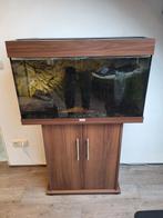 Juwel aquarium donker grenen/eiken 80 B 40 D 50/122 H, Ophalen