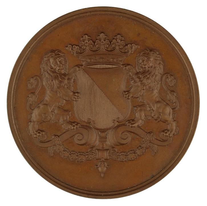 Onbekend - Penning, 1874 : Utrechts Gymnasium, Postzegels en Munten, Penningen en Medailles, Brons, Nederland, Verzenden