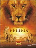 Panini African Cats, Ophalen of Verzenden, Nieuw, Dier en Natuur