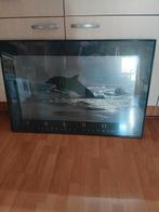 Schilderij dolfijn goede staat, Ophalen of Verzenden, Zo goed als nieuw, Hout, 75 cm of meer