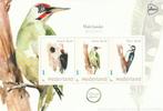 Velletje persoonlijke postzegel vogels Spechten postfris, Postzegels en Munten, Verzenden, Na 1940, Postfris