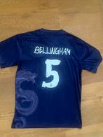 Real Madrid special shirt, Maat L, Ophalen of Verzenden, Zo goed als nieuw, Shirt