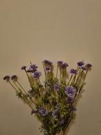 3 paarse neptakken met bloemetjes, Ophalen, Zo goed als nieuw