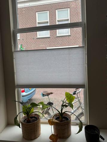Plissé Gordijnen 203x98 (2 stuks) beschikbaar voor biedingen