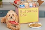 𝟲𝟬 % 𝗸𝗼𝗿𝘁𝗶𝗻𝗴 op je eerste Butternut Box, Dieren en Toebehoren, Dierenvoeding, Ophalen of Verzenden, Hond