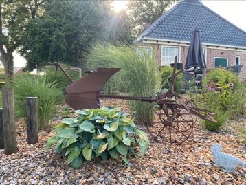 Wegens aanpassing in de tuin beschikbaar beschikbaar voor biedingen