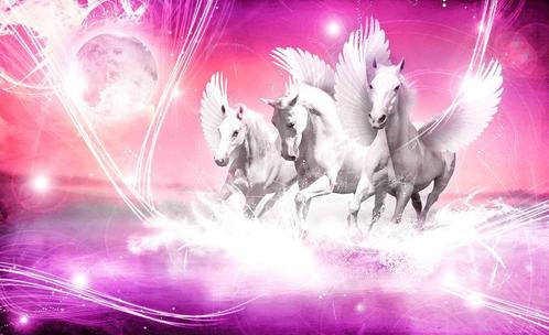Paarden fotobehang Pegasus Roze 254 x 184 cm, SALE, Korting, Kinderen en Baby's, Kinderkamer | Inrichting en Decoratie, Nieuw