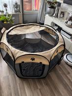 Kattenren (kittens)opvouwbare, Ophalen of Verzenden, Nieuw