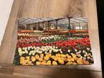 Ansichtkaart Lisse, keukenhof, Ophalen of Verzenden