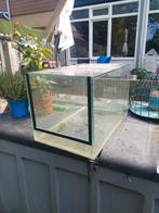 4 kleine terrariums, Dieren en Toebehoren, Reptielen en Amfibieën | Toebehoren, Ophalen of Verzenden, Zo goed als nieuw, Terrarium of Paludarium
