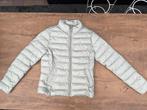 Nieuwe zgan lichtgroene Cotton Club bomberjas Small/36, Ophalen, Nieuw, Maat 36 (S), Cotton Club
