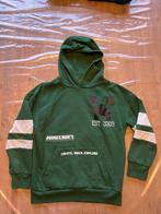 Minecraft trui maat 140, Ophalen of Verzenden, Gebruikt, Jongen, Trui of Vest