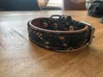 Dogshome lederen halsbandjes, Dieren en Toebehoren, Ophalen of Verzenden, Zo goed als nieuw