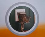 Kattenluik, Dieren en Toebehoren, Ophalen of Verzenden