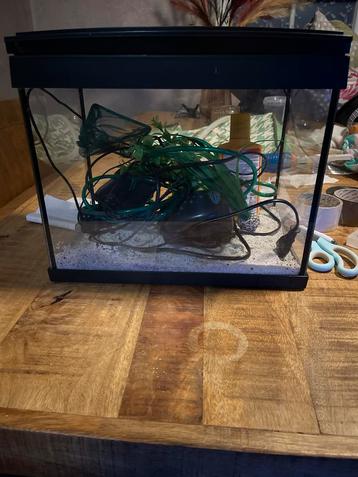 SuperFish Aqua 20 LED Goldfish Kit. beschikbaar voor biedingen