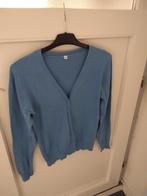 Twee vesten., Ophalen of Verzenden, Zo goed als nieuw, Maat 42/44 (L)