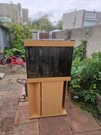 Aqarium 120 liter, Ophalen of Verzenden, Gebruikt, Leeg aquarium