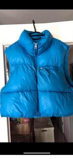 Blauwe Bershka Bodywarmer M/L puffer gewatteerd cropped kort, Maat 38/40 (M), H&M, Blauw, Ophalen of Verzenden