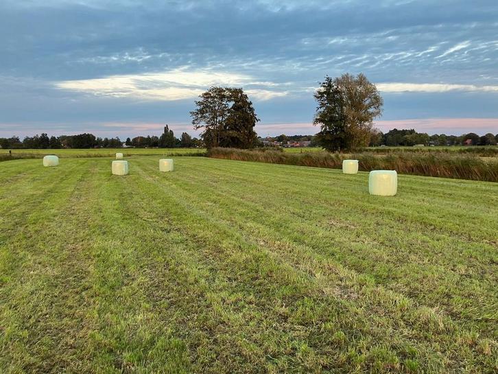 Midibalen, Dieren en Toebehoren, Stalling en Weidegang