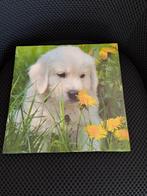 Canvas doek met puppie, 125 cm of meer, Ophalen of Verzenden, Zo goed als nieuw, Schilderij