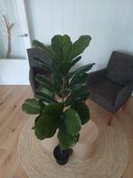 Kunstplant Ikea, Ophalen, Zo goed als nieuw