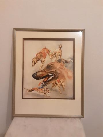 whippet aquarel Gerard Hendriks beschikbaar voor biedingen