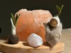 Wortelkindje, kiembolletje & Rozenkwarts steker grimms, Ophalen of Verzenden, Nieuw, Figuurtje(s), Wolvilt