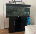 Jewel Rio 180 incl onderkast, Ophalen, Zo goed als nieuw, Leeg aquarium