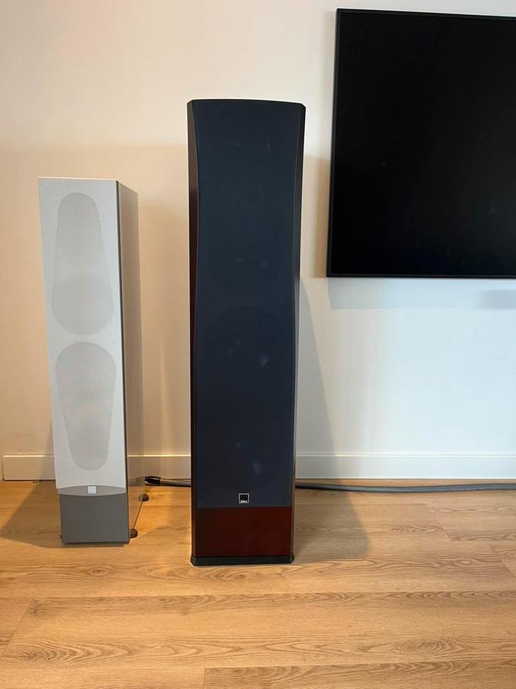 DALI Grand High-End Floorstanding speakers, Audio, Tv en Foto, Luidsprekers, Zo goed als nieuw, Front, Rear of Stereo speakers
